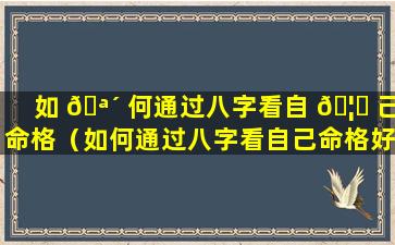 如 🪴 何通过八字看自 🦊 己命格（如何通过八字看自己命格好不好）